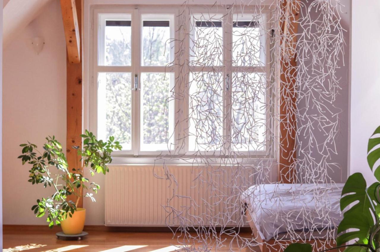 Apartment In The Heart Of Bled With Views Εξωτερικό φωτογραφία